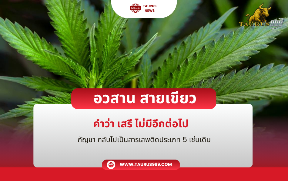 <<อวสาน>> สายเขียว