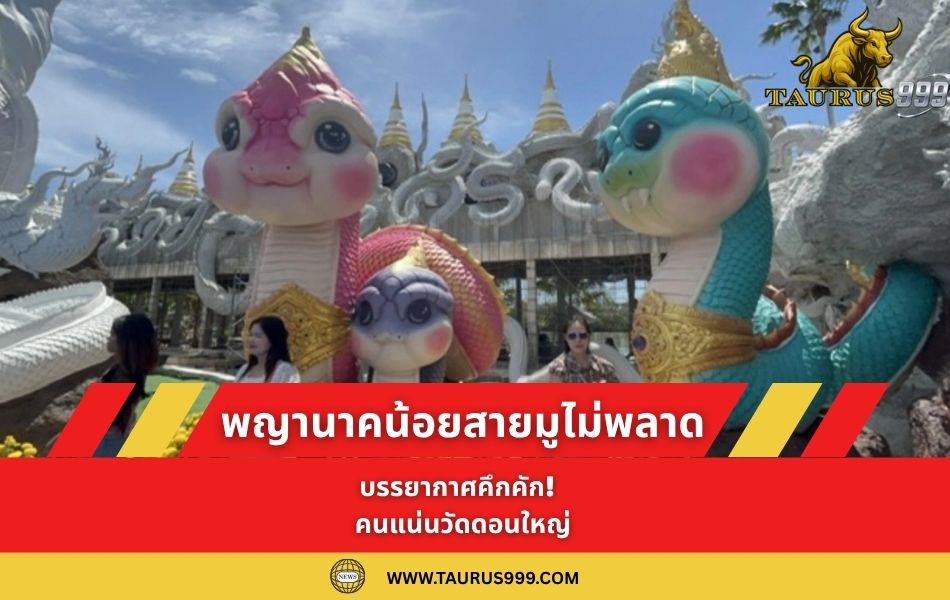 บรรยากาศคึกคัก! คนแน่นวัดดอนใหญ่ แห่ชม " พญานาคน้อย " สายมูไม่พลาดขอ " เลขเด็ด